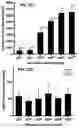 Fig. 22 - Acoustic extracellular matrix hydrogels and their use