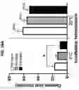 Fig. 23 - Acoustic extracellular matrix hydrogels and their use