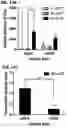 Fig. 27 - Acoustic extracellular matrix hydrogels and their use