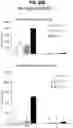Fig. 33 - Acoustic extracellular matrix hydrogels and their use