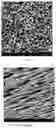 Fig. 06 - Preparation method and application of composite scaffold for directionally guiding regeneration of optic nerve axons
