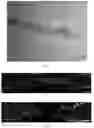 Fig. 08 - Preparation method and application of composite scaffold for directionally guiding regeneration of optic nerve axons