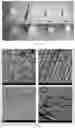 Fig. 09 - Preparation method and application of composite scaffold for directionally guiding regeneration of optic nerve axons