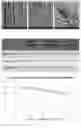 Fig. 10 - Preparation method and application of composite scaffold for directionally guiding regeneration of optic nerve axons