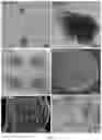 Fig. 04 - METHOD OF CULTURING ANIMAL CELLS AND ENGINEERING TISSUE AND TISSUE-LIKE STRUCTURES