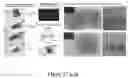 Fig. 22 - VASCULARIZING DEVICES AND METHODS FOR IMPLANTED DIAGNOSTICS AND THERAPEUTICS