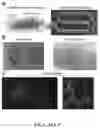 Fig. 23 - VASCULARIZING DEVICES AND METHODS FOR IMPLANTED DIAGNOSTICS AND THERAPEUTICS