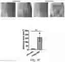 Fig. 11 - SYNTHETIC HEPARIN MIMETICS AND USES THEREOF