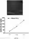 Fig. 12 - SYNTHETIC HEPARIN MIMETICS AND USES THEREOF