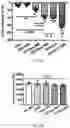 Fig. 15 - SYNTHETIC HEPARIN MIMETICS AND USES THEREOF