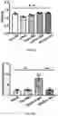 Fig. 16 - SYNTHETIC HEPARIN MIMETICS AND USES THEREOF