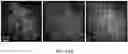 Fig. 24 - SYNTHETIC HEPARIN MIMETICS AND USES THEREOF