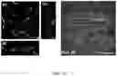 Fig. 25 - SYNTHETIC HEPARIN MIMETICS AND USES THEREOF