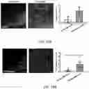 Fig. 26 - SYNTHETIC HEPARIN MIMETICS AND USES THEREOF