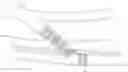 Fig. 01 - Endovascular implants and devices and methods for accurate placement