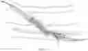 Fig. 16 - Endovascular implants and devices and methods for accurate placement