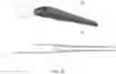 Fig. 27 - Endovascular implants and devices and methods for accurate placement