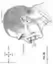 Fig. 09 - Patient interface