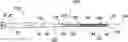 Fig. 01 - Devices for steering catheters