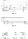 Fig. 04 - SYSTEMS, CATHETERS, AND METHODS FOR TREATING ALONG THE CENTRAL NERVOUS SYSTEM
