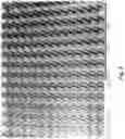 Fig. 03 - VACCINATION USING HIGH-DENSITY MICROPROJECTION ARRAY PATCH