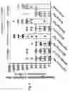 Fig. 07 - VACCINATION USING HIGH-DENSITY MICROPROJECTION ARRAY PATCH