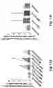 Fig. 16 - VACCINATION USING HIGH-DENSITY MICROPROJECTION ARRAY PATCH