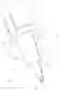 Fig. 07 - NEEDLE MODULE WITH MOUTH HAVING FLEXIBLE JAW