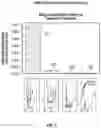 Fig. 08 - PERIPHERAL NERVE STIMULATION FOR RESTLESS LEGS SYNDROME