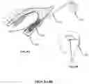 Fig. 09 - Visual prosthesis employing ventricular or endovascular neural electrode arrays