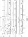 Fig. 07 - Medical device and method for determining atrioventricular synchrony