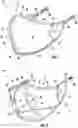 Fig. 02 - Multilayer Face-Covering