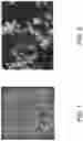 Fig. 02 - METHODS FOR CONTROLLING CRYSTALLIZATION BASED ON TURBIDITY AND SYSTEMS THEREFOR