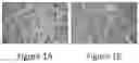 Fig. 02 - METHOD AND APPARATUS FOR ENHANCED SEPARATION AND REMOVAL OF CONTAMINANTS AND IRRADIATED PARTICULATES FROM FLUIDS