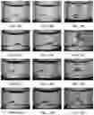 Fig. 08 - Method for dissolved gas separation