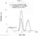 Fig. 04 - FILTRATION