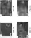 Fig. 02 - Electrocatalyst comprising a crumpled transition metal dichalcogenide support loaded with monodispersed metal nanoparticles