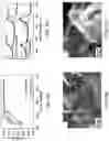 Fig. 03 - Electrocatalyst comprising a crumpled transition metal dichalcogenide support loaded with monodispersed metal nanoparticles