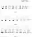 Fig. 08 - High-efficiency single-cell collection method