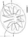 Fig. 08 - Centrifuge system for separating cells in suspension