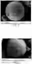 Fig. 02 - METHOD FOR MANUFACTURING AN ALUMINIUM ALLOY PART BY ADDITIVE MANUFACTURING FROM A POWDER MIXTURE CONTAINING ZrSi2 PARTICLES