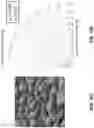 Fig. 35 - LASER SURFACE PROCESSING SYSTEMS AND METHODS FOR PRODUCING NEAR PERFECT HEMISPHERICAL EMISSIVITY IN METALLIC SURFACES