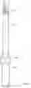 Fig. 02 - Torque wrench