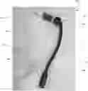 Fig. 01 - Handle for holding dispenser