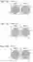 Fig. 03 - SECURITY DEVICE AND METHOD OF MANUFACTURE THEREOF