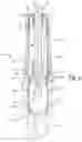 Fig. 05 - Scalable damper