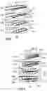 Fig. 07 - Structural component, seat component and vehicle seat