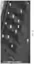 Fig. 04 - Trailer assembly
