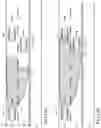 Fig. 18 - Headlight control apparatus to control the lighting angle based on acquired lateral and longitudinal line difference
