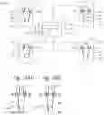 Fig. 02 - Brake system and method for controlling a brake system
